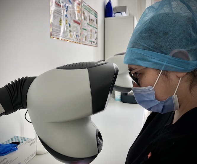 A healthcare professional wearing a surgical mask and cap looks into a large microscope in a hair surgery lab setting, with medical posters visible in the background.