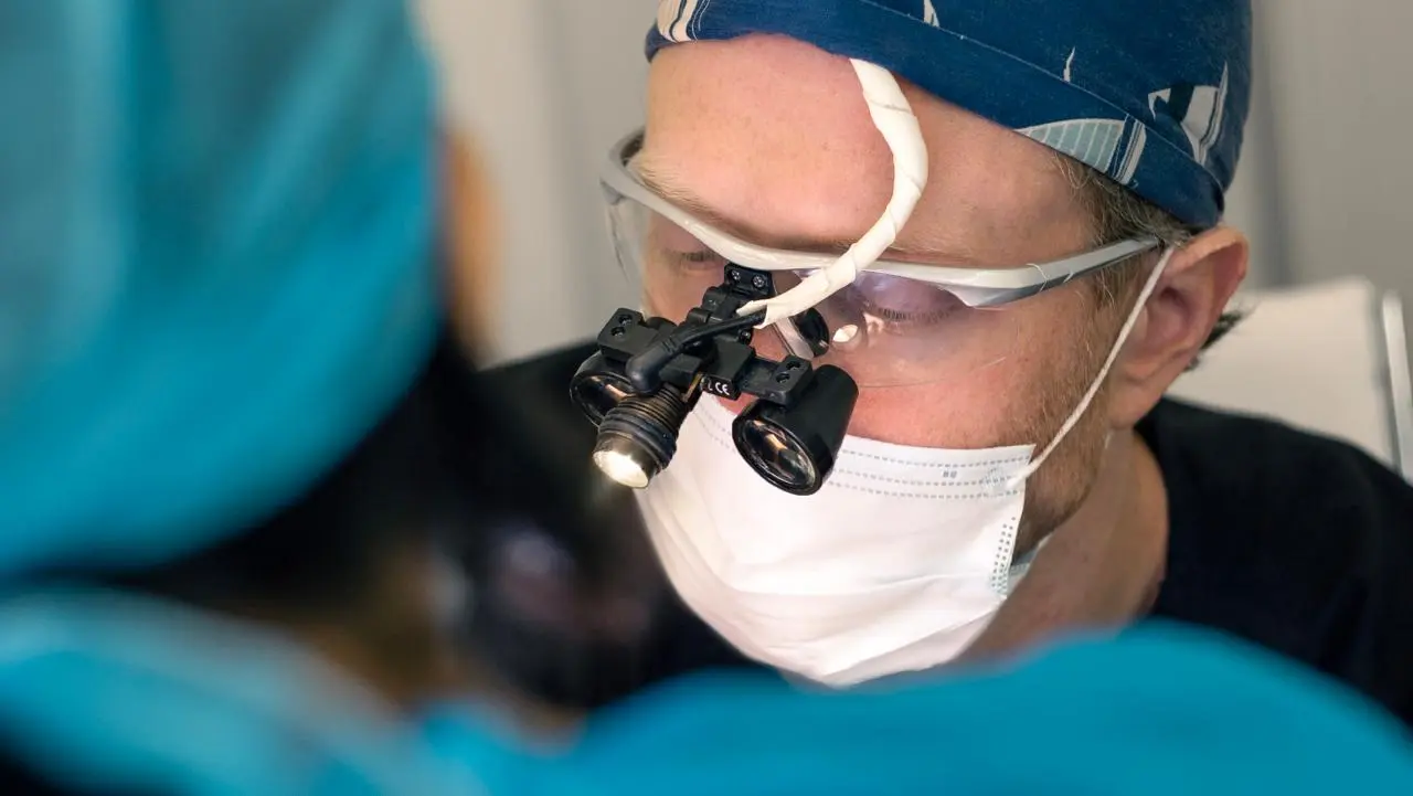 A surgeon with signs of male pattern baldness, wearing a surgical mask and head-mounted binocular loupes, focuses intently during a medical procedure.